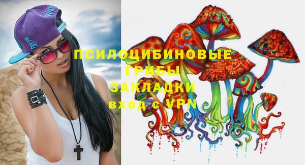 винт Алзамай